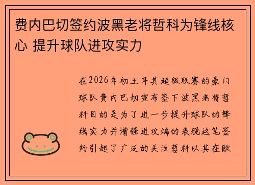 费内巴切签约波黑老将哲科为锋线核心 提升球队进攻实力 费内巴切签约波黑老将哲科为锋线核心 提升球队进攻实力